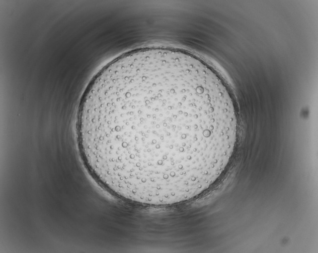 X0000116290847201001111055