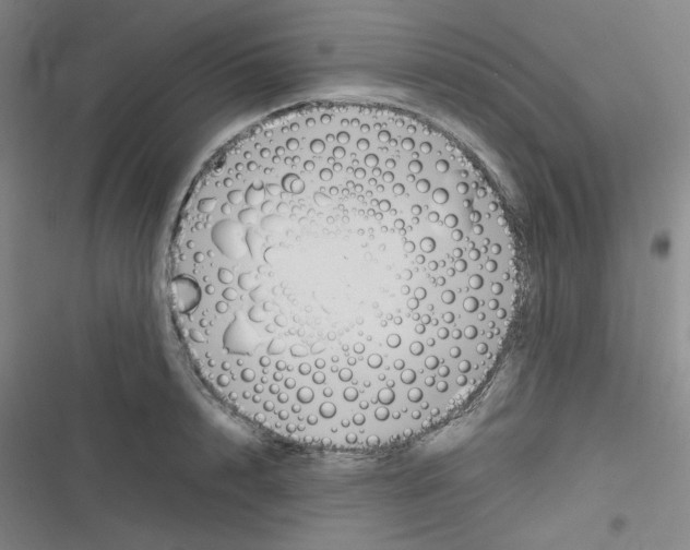 X0000116290848201001111055