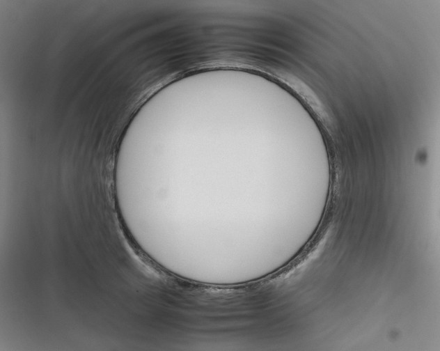 X0000116290849201001111055