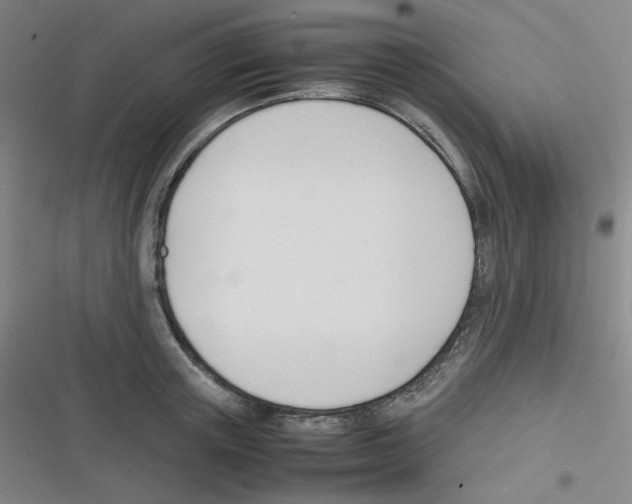 X0000116290851201001111055