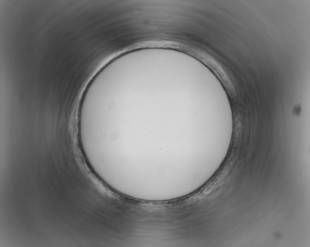 X0000116290852201001111055