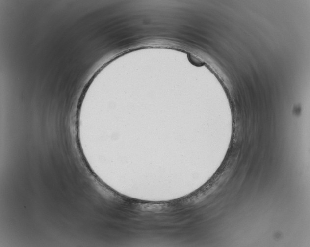 X0000116290853201001111055