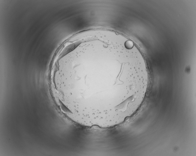 X0000116290856201001111055