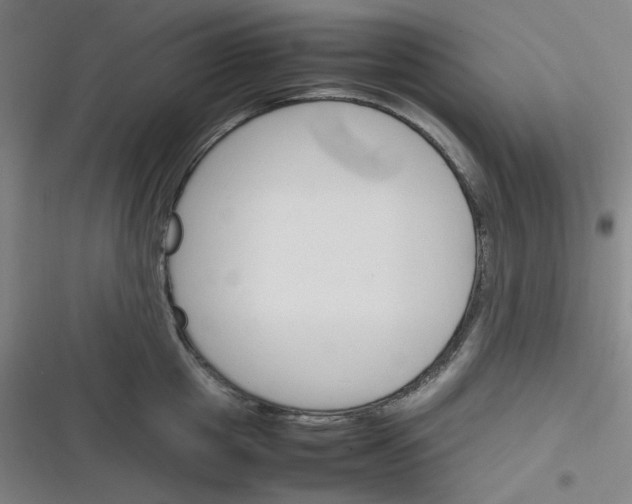 X0000116290857201001111055