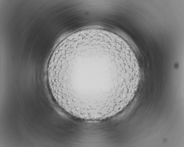 X0000116290858201001111055