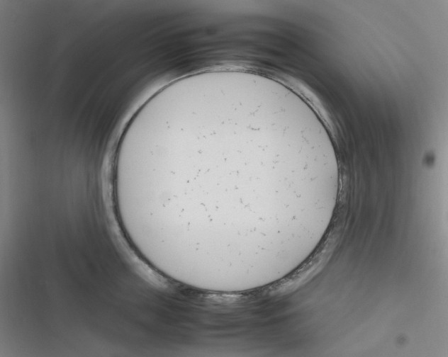 X0000116290859201001111055