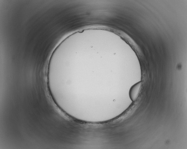 X0000116290860201001111055