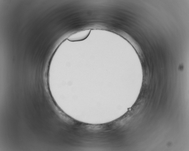 X0000116290861201001111055