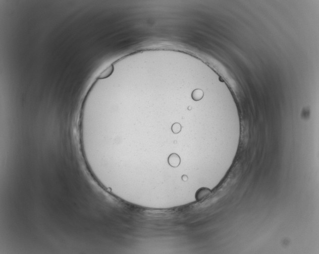 X0000116290863201001111055