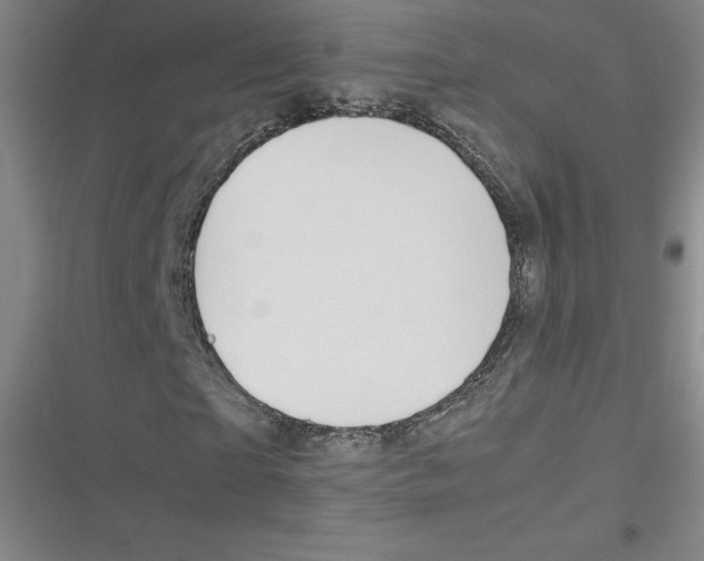 X0000116290865201001111054