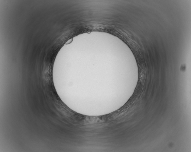 X0000116290866201001111054