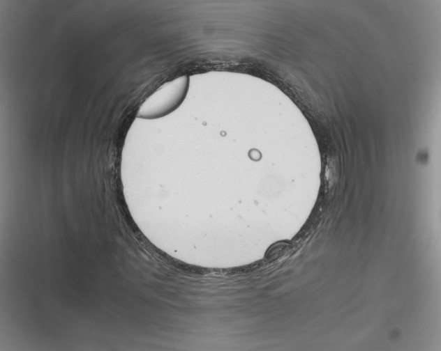 X0000116290867201001111054