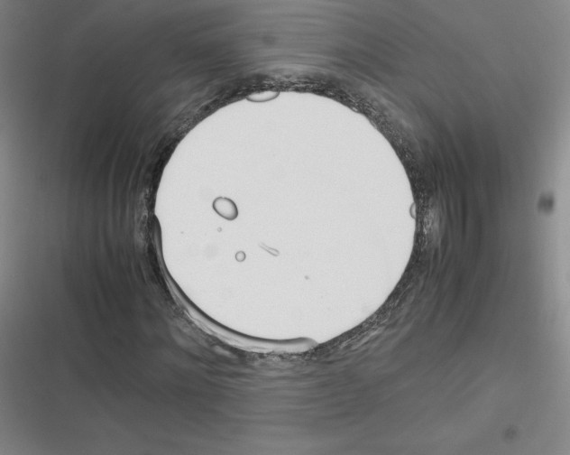 X0000116290868201001111054