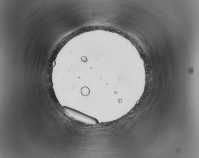 X0000116290872201001111054