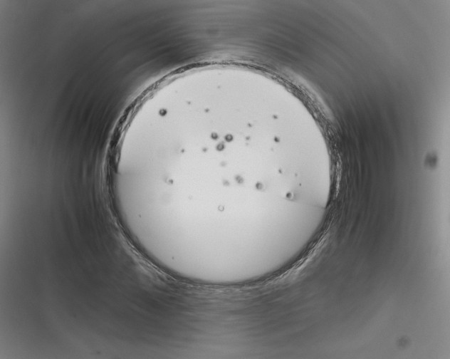 X0000116290876201001111054