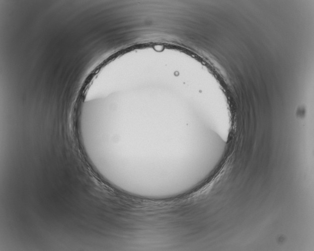 X0000116290877201001111054