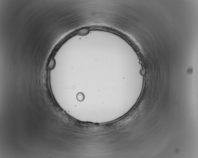 X0000116290879201001111054