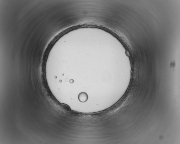 X0000116290880201001111054