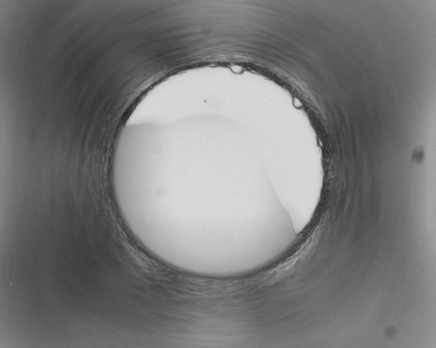 X0000116290881201001111054