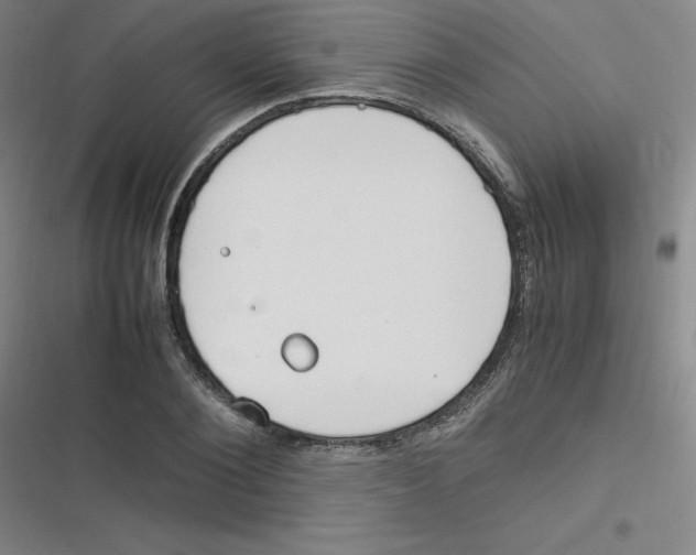 X0000116290884201001111054