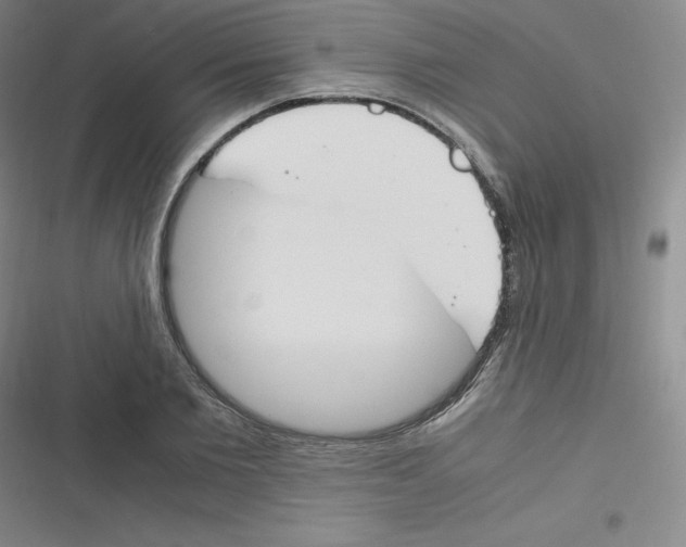 X0000116290885201001111054