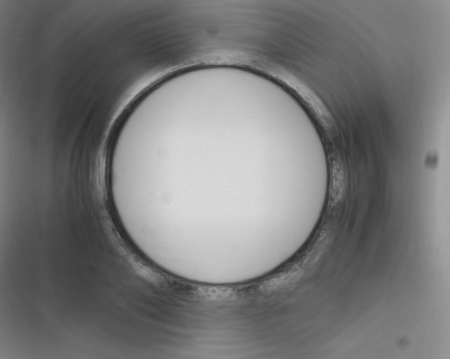 X0000116290886201001111054