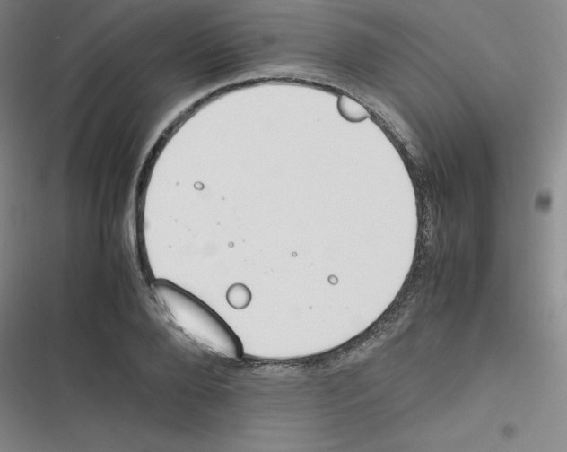 X0000116290888201001111054