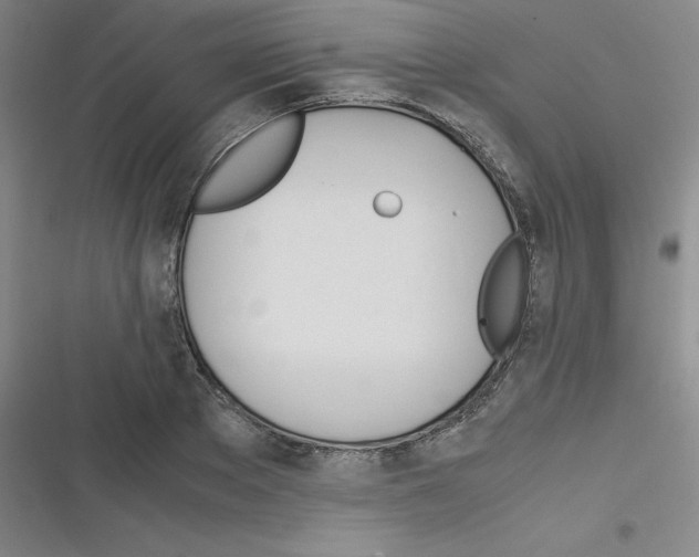 X0000116290889201001111054