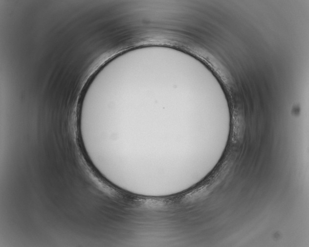 X0000116290890201001111054