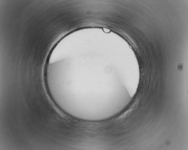 X0000116290893201001111054