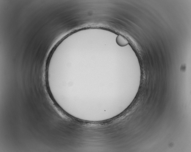 X0000116290894201001111054