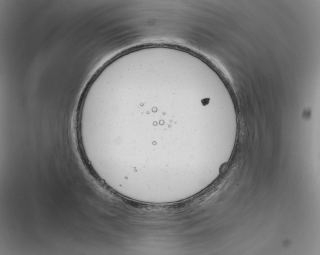 X0000116290895201001111054