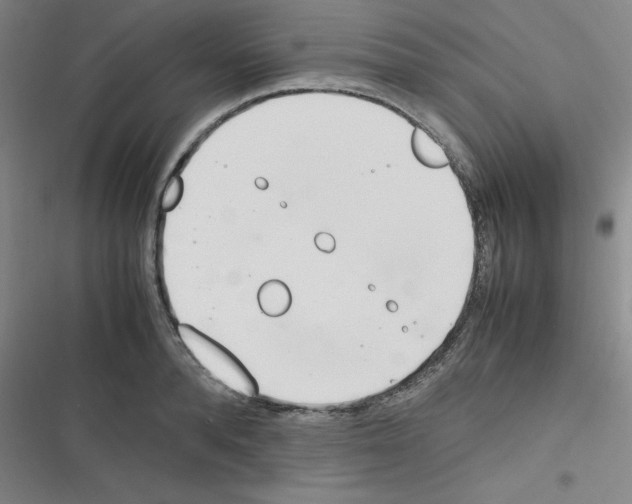 X0000116290896201001111054