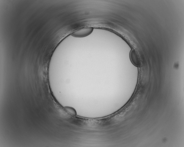 X0000116290897201001111054