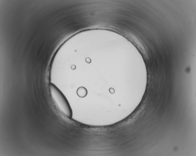 X0000116290900201001111054