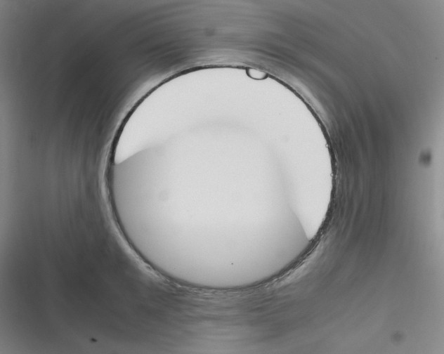 X0000116290901201001111054