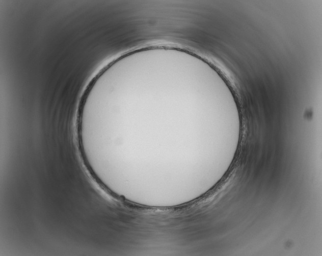 X0000116290902201001111054