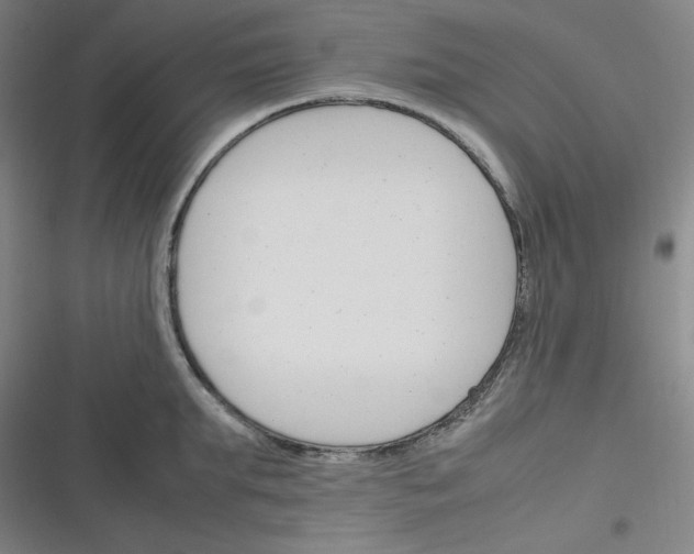 X0000116290903201001111054