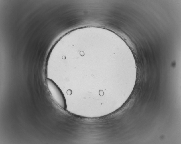 X0000116290904201001111054