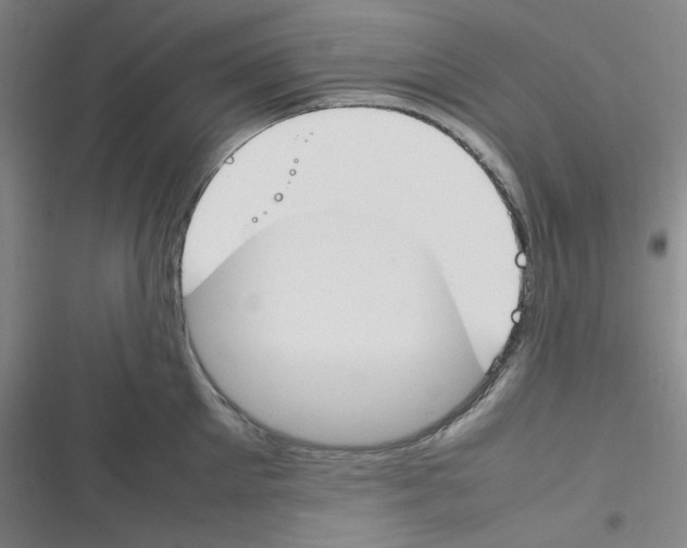 X0000116290905201001111054