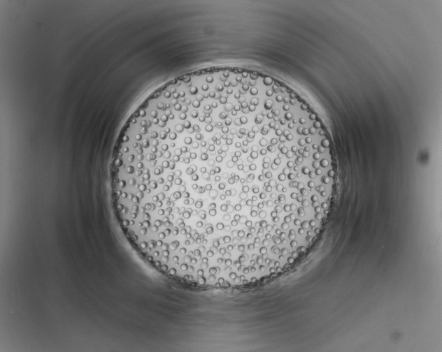 X0000116290906201001111054