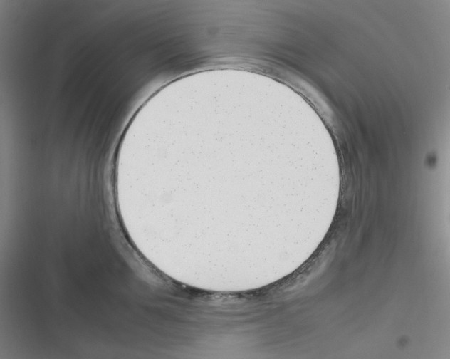 X0000116290907201001111054