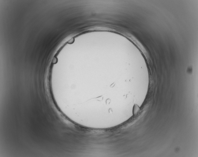 X0000116290909201001111054