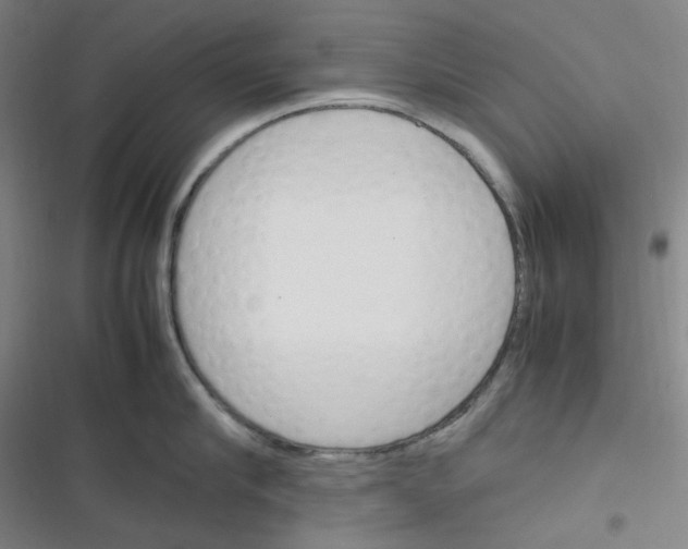 X0000116290910201001111054