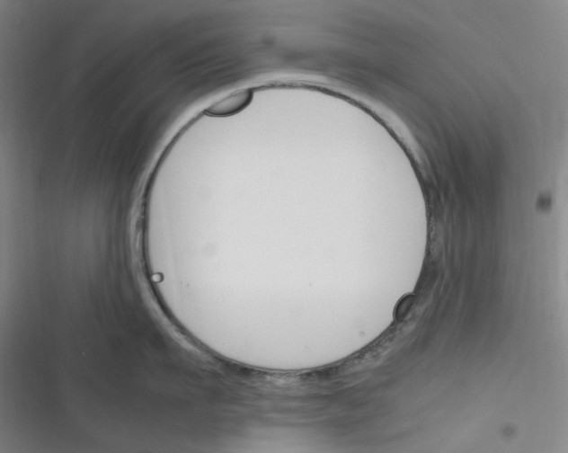 X0000116290911201001111054