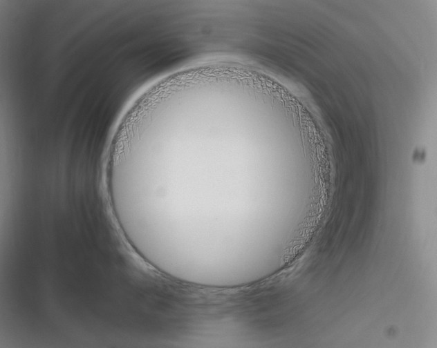 X0000116290912201001111054