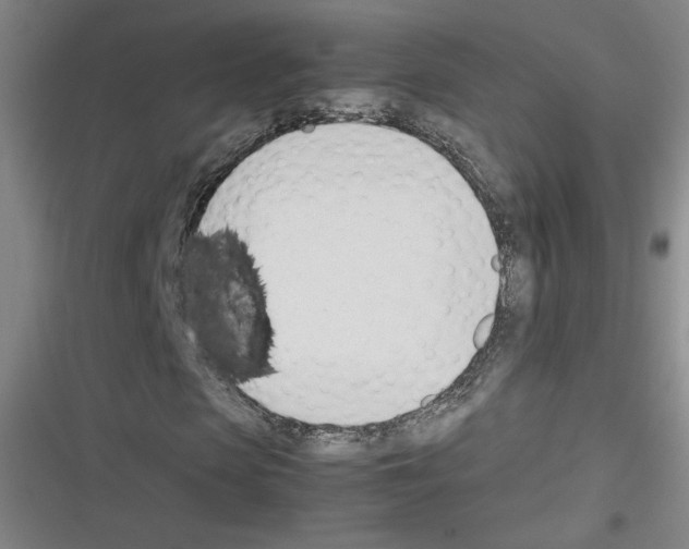 X0000116290913201001111053