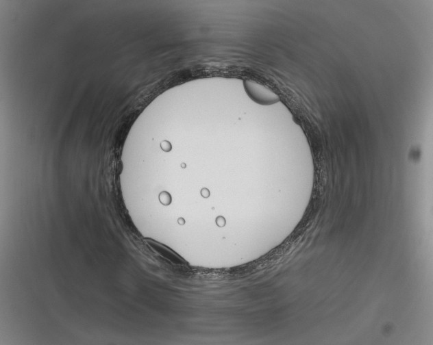 X0000116290914201001111053