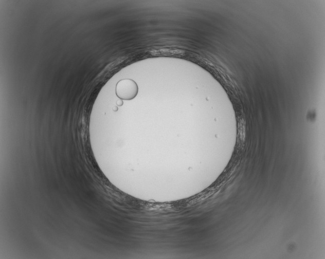 X0000116290915201001111053