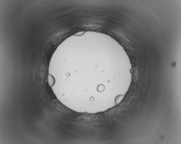 X0000116290917201001111053